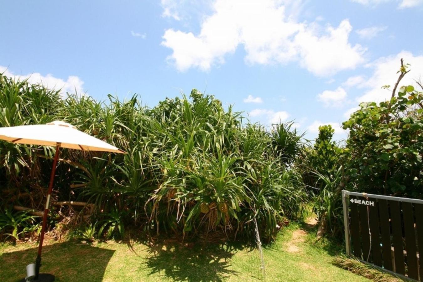 Casa Dumai Oceanvilla Nakijin Exteriér fotografie
